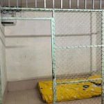 La Policía de Tailandia llevó a cabo este martes un registro en una residencia de ancianos de la provincia occidental de Kanchanaburi