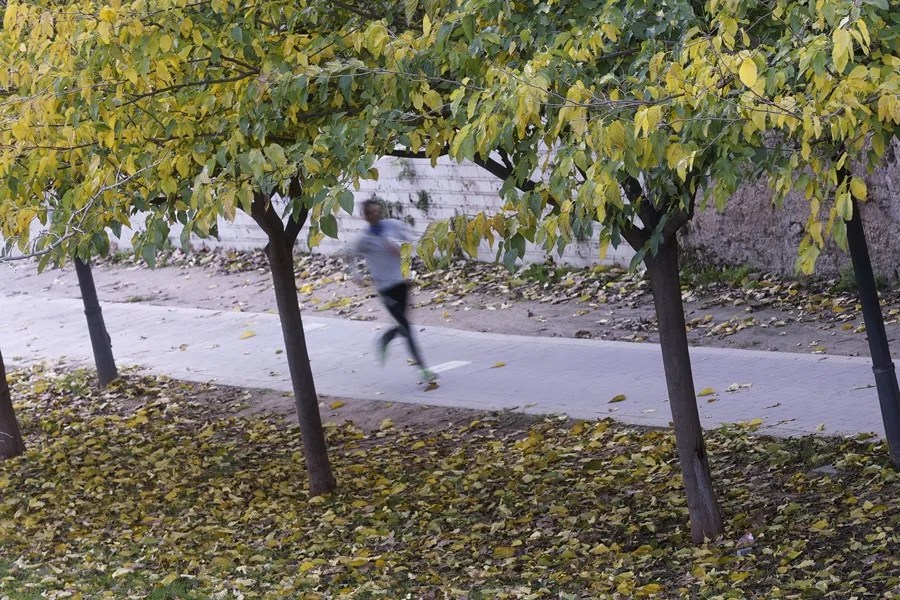 Un corredor hace ejercicio en el Jardín del Turia.