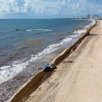 Los Altos costos y el sargazo ponen en alerta a Tulum, la joya turística del Caribe mexicano