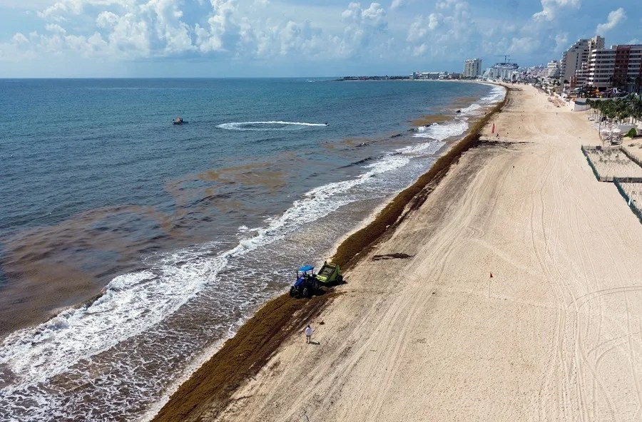 Los Altos costos y el sargazo ponen en alerta a Tulum, la joya turística del Caribe mexicano