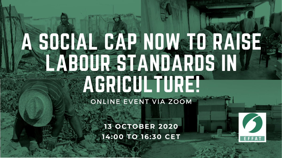 A Social CAP now to raise  labour standards in Agriculture!