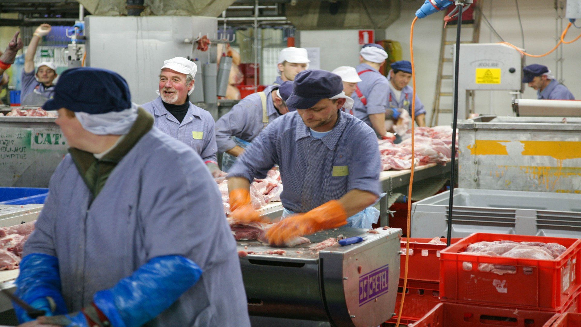Poverty wages in the German meat sector are a European problem. And it ...