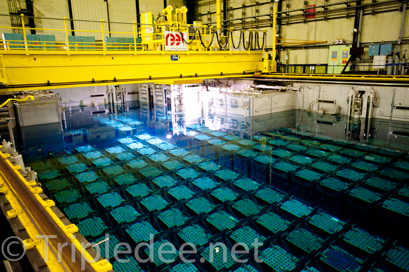 La Surete Du Debut A La Fin Aiea