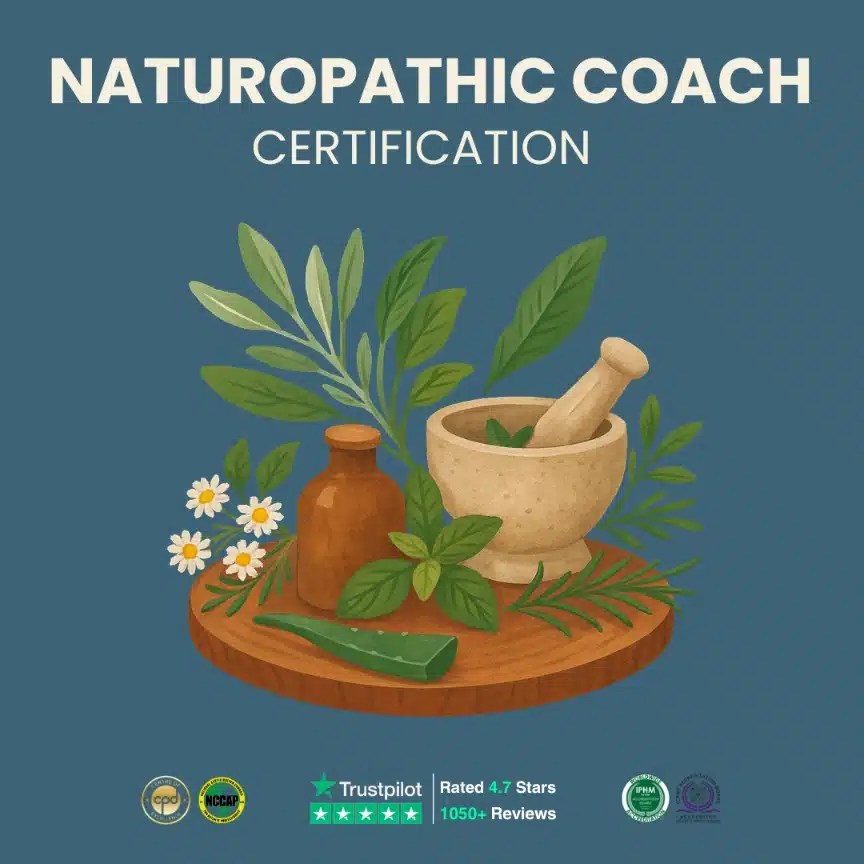 Naturopathic Wellness Coach