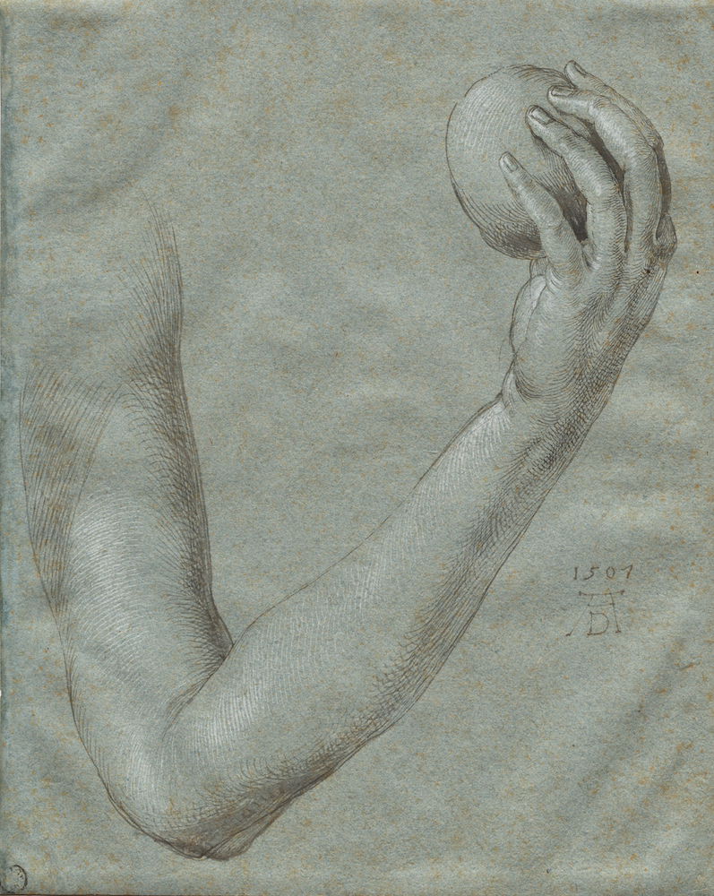 Arm of Eve Albrecht Dürer, 1507