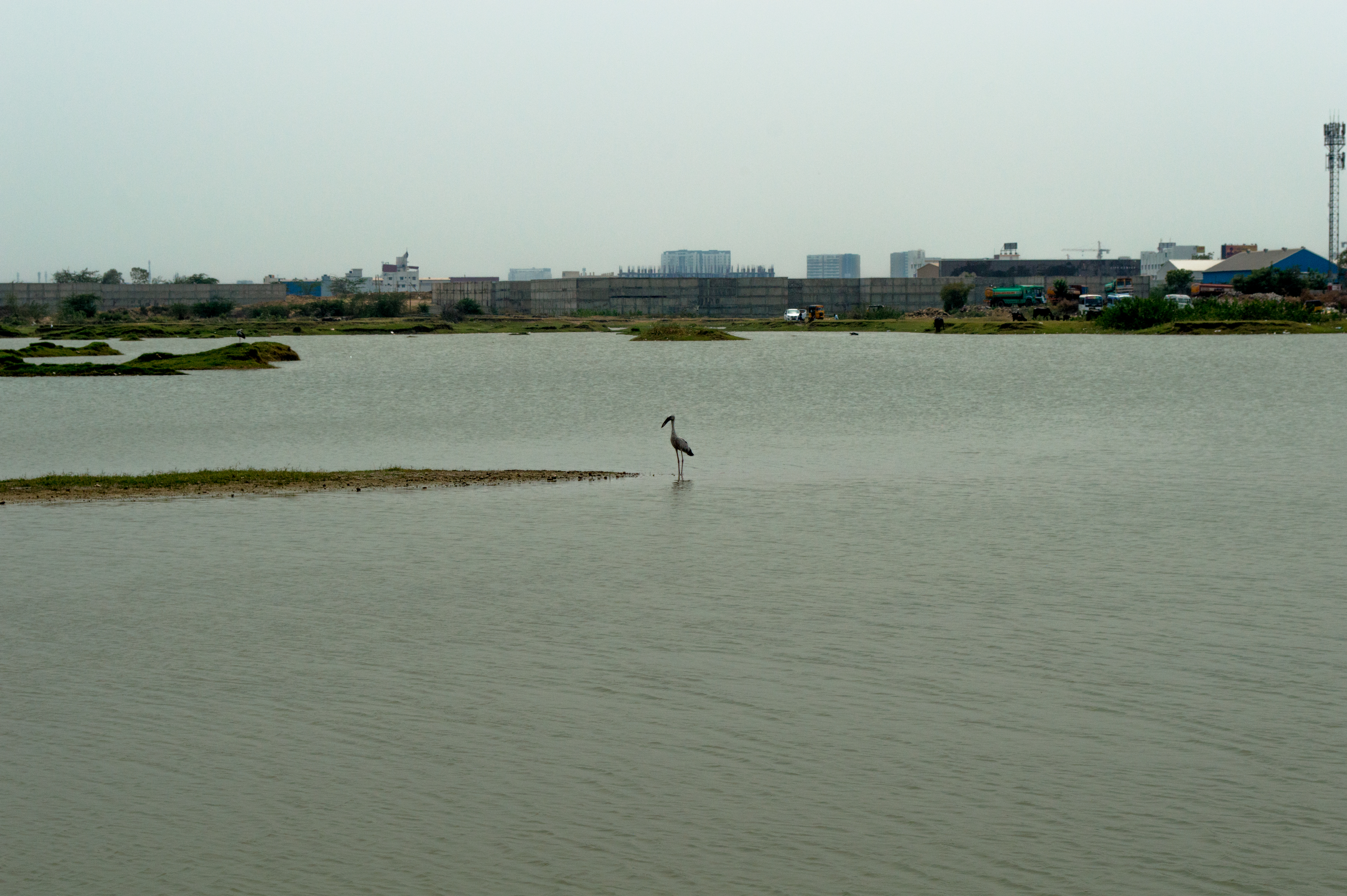 DSC_0156 (1)