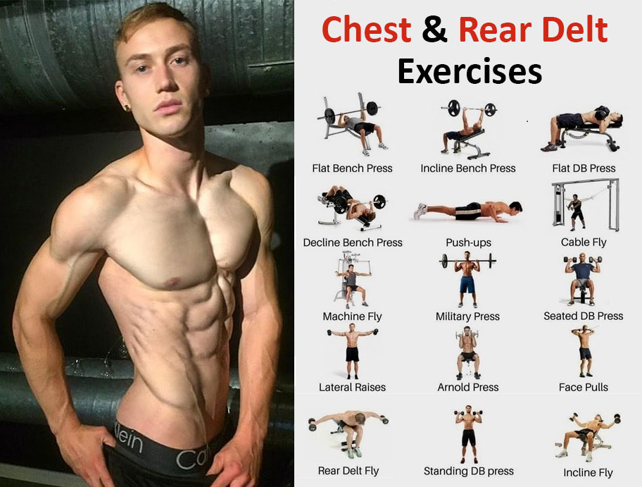 chest exercises and rear delt exercises