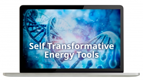 Laptop showing the Self Transformative Energy Tools