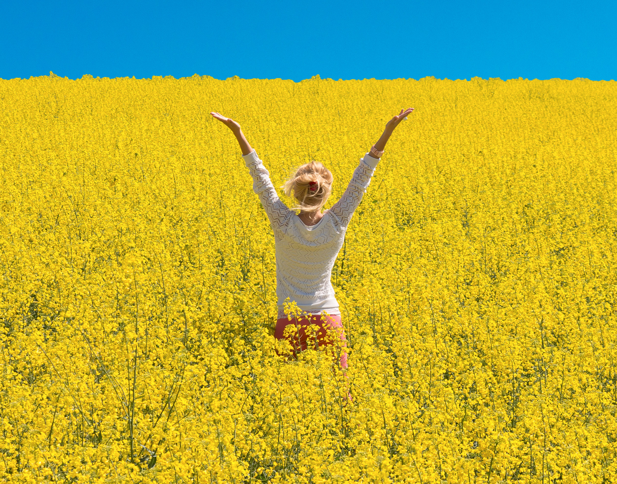 Woman in field of yellow flowers