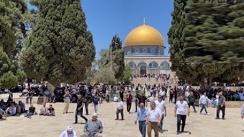 مجلس الأمن يدعو إلى احترام وقف النار والوفد المصري يواصل المباحثات (تغطية مباشرة)