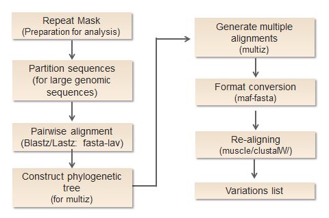 Github Gpertea Mgblast Fast All Vs All Dna Alignment Tool - Mountain Photo Collection - HD Quality