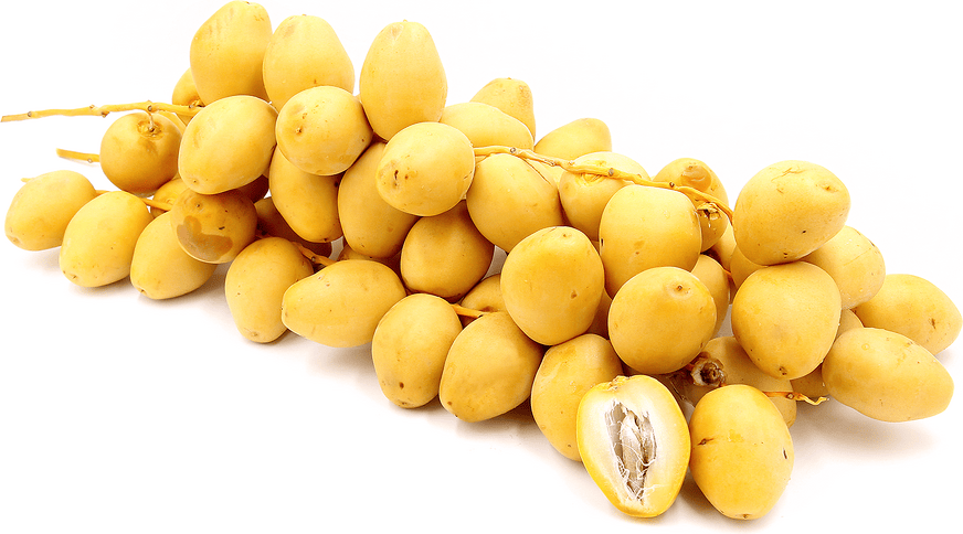 Fresh Barhi Dates