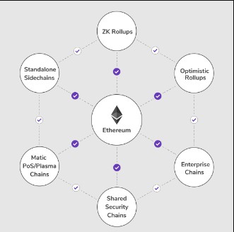 Trading exchanges built on polygon will continue to help push matic crypto higher. Polygon Matic Crypto Is Polygon Crypto A Good Investment