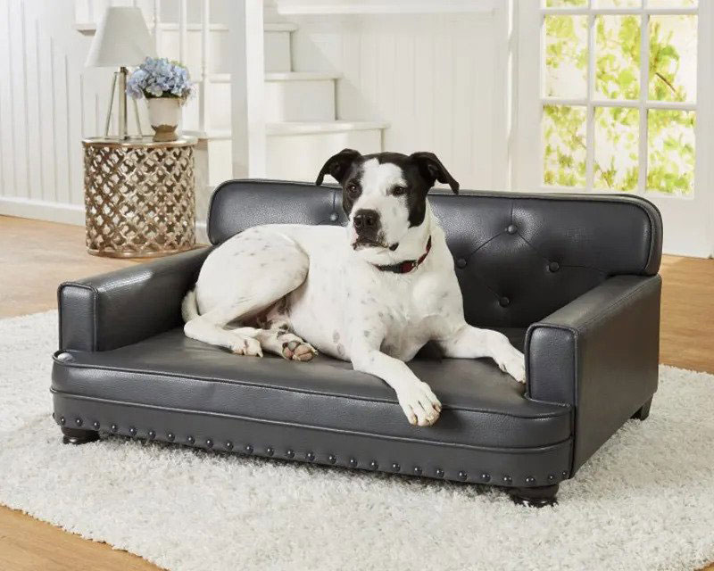 jackson dog sofa