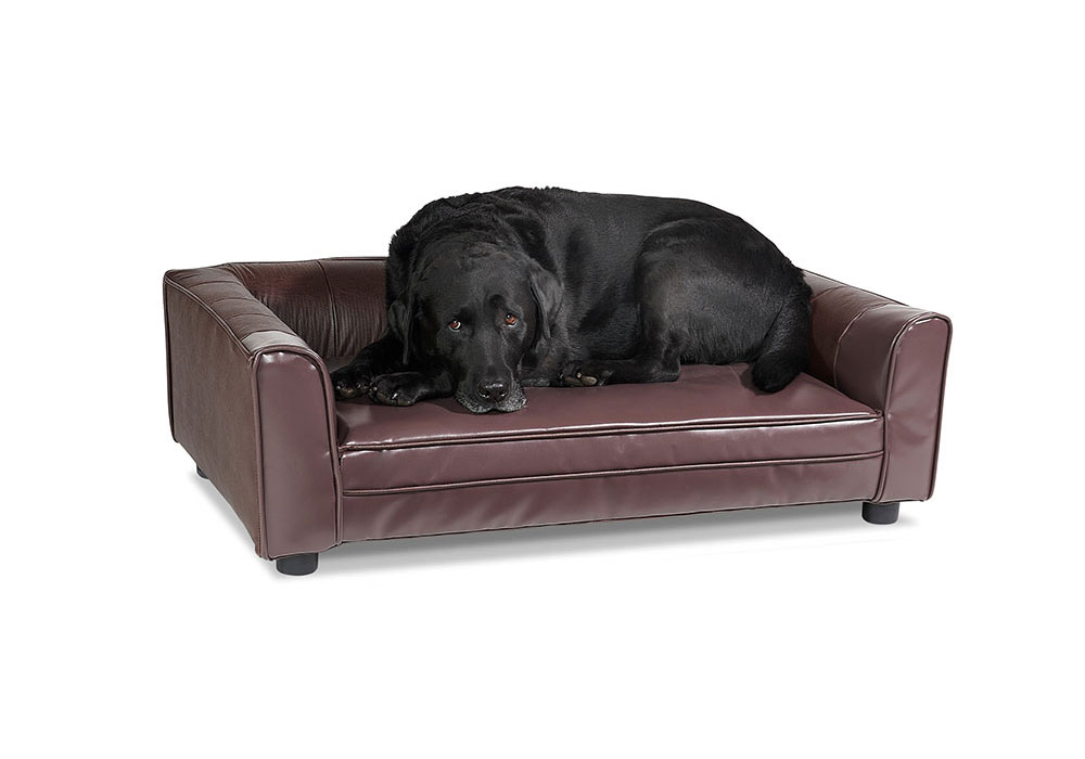 pet settee