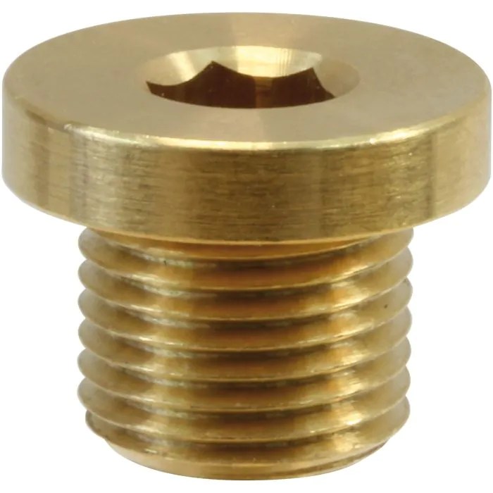 1/4"M - Plug (Brass)