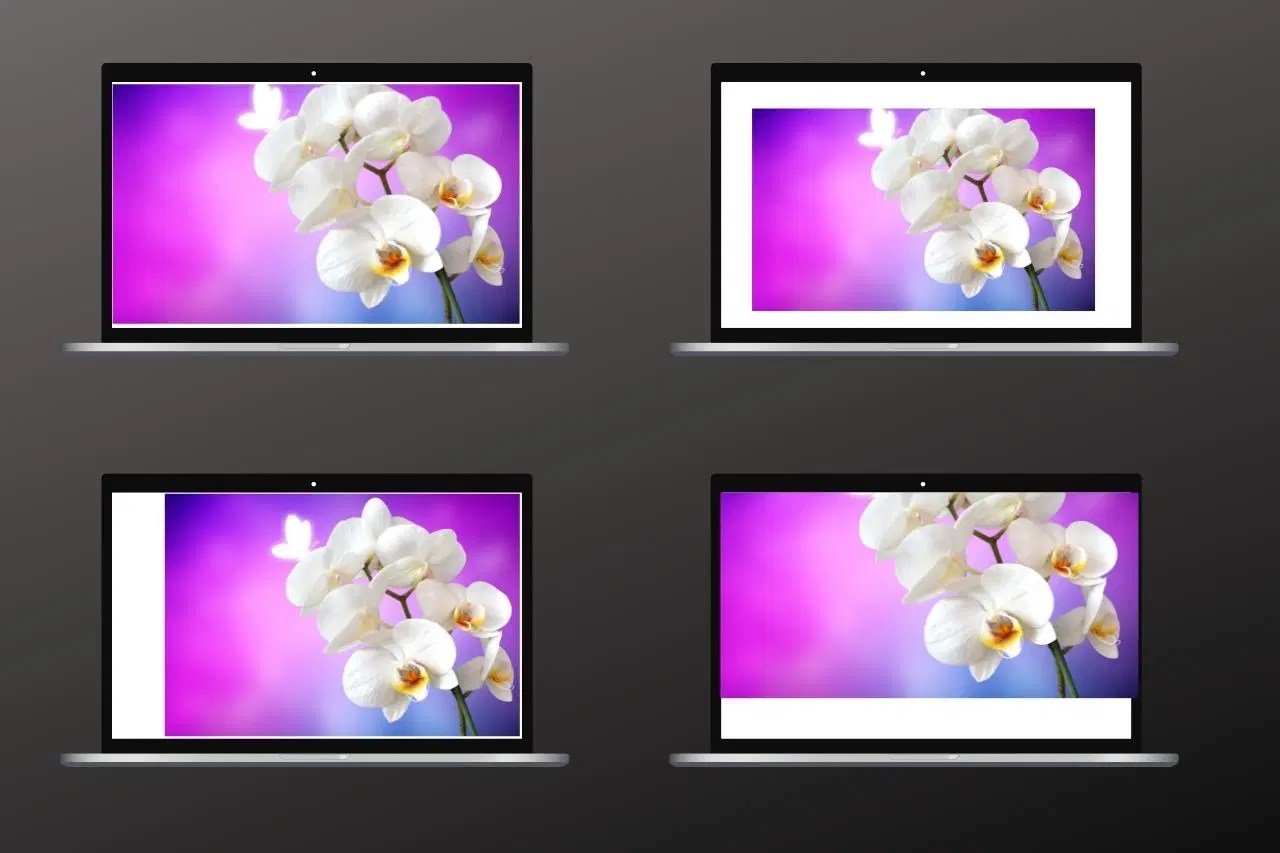 Background Position Css The Best Guide With Examples - HD Nature Designs for Desktop