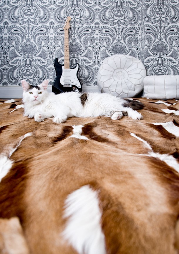 My other fur baby, Rock