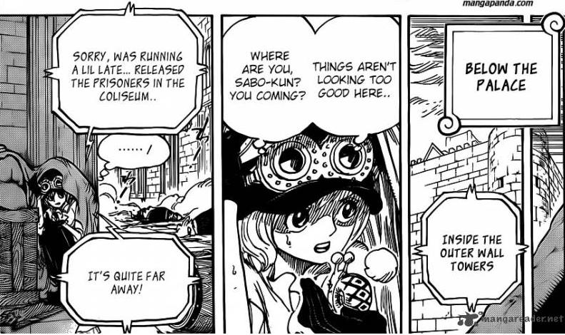 Koala diketahui berada di level perwira. One Piece 779 The Last Battle Eight Hit Combo