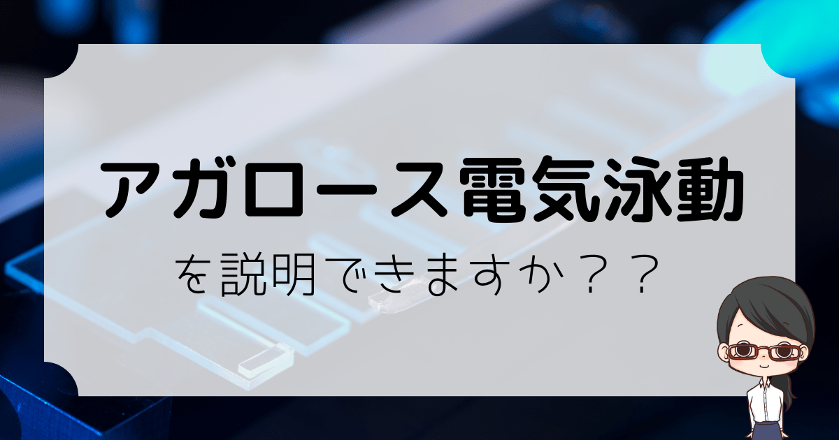 アガロース電気泳動を説明できますか？
