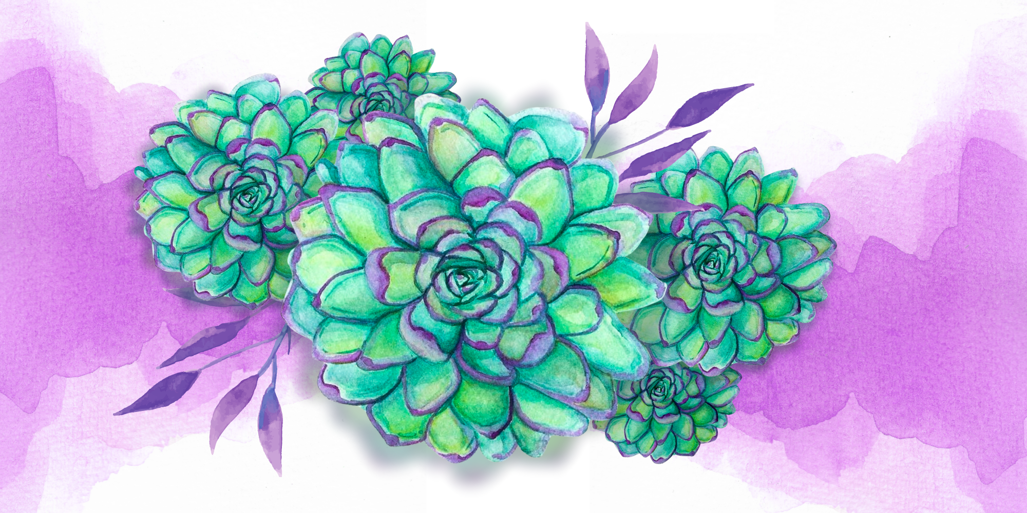 watercolor succulents