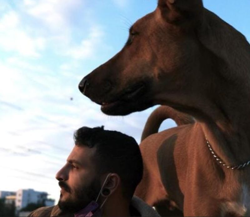 Eiloncap Eilon Caplan Github - Download Ultra HD Gradient Image | 4K