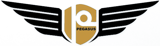 pegasus