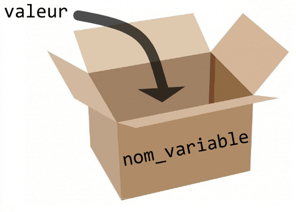 Les Variables Pdf Variable Informatique Division - Nature Design Collection - 8K Quality