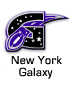 New York Galaxy Logo