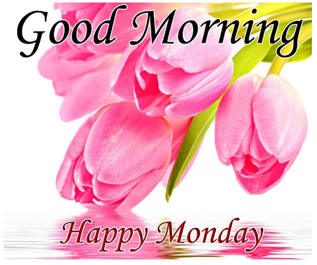 Great Morning Monday Image