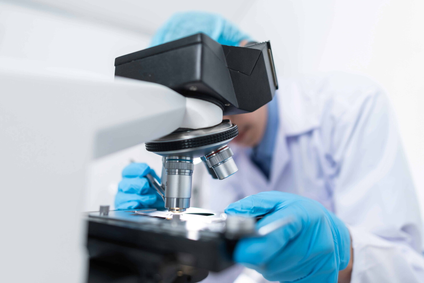Israeli-Spanish study challenges long-held view of human pelvis evolution