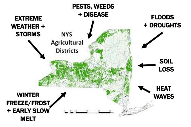 Github Ejsff Ny - Mountain Illustration Collection - Mobile Quality