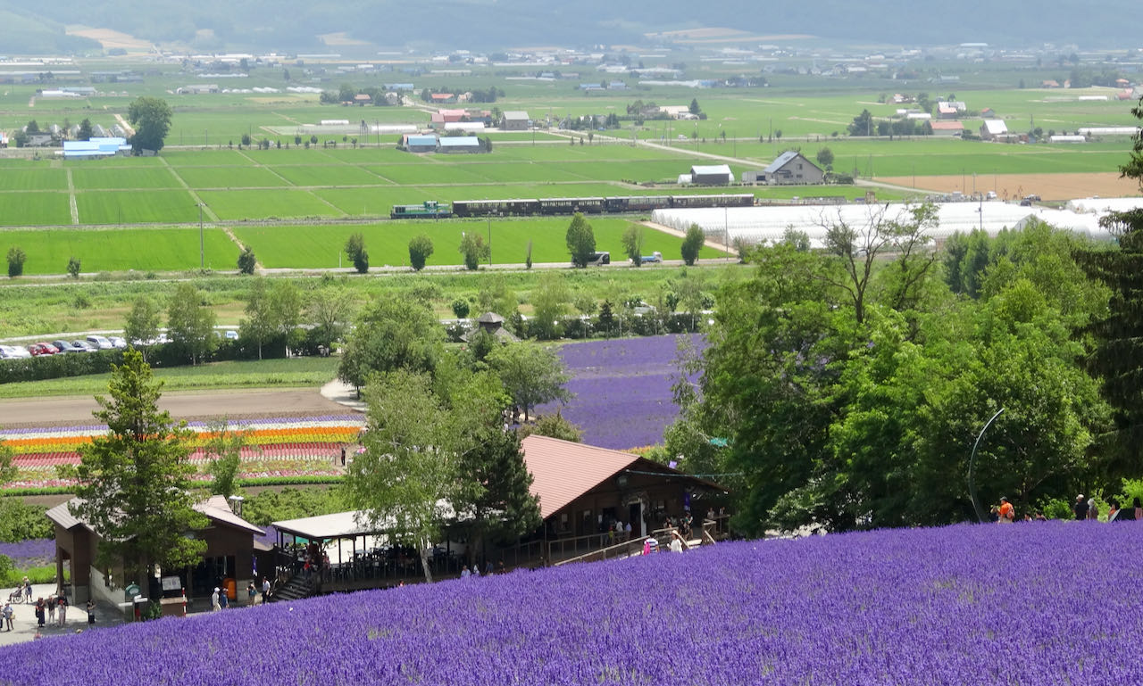 nakafurano_lavender_farm_stati
