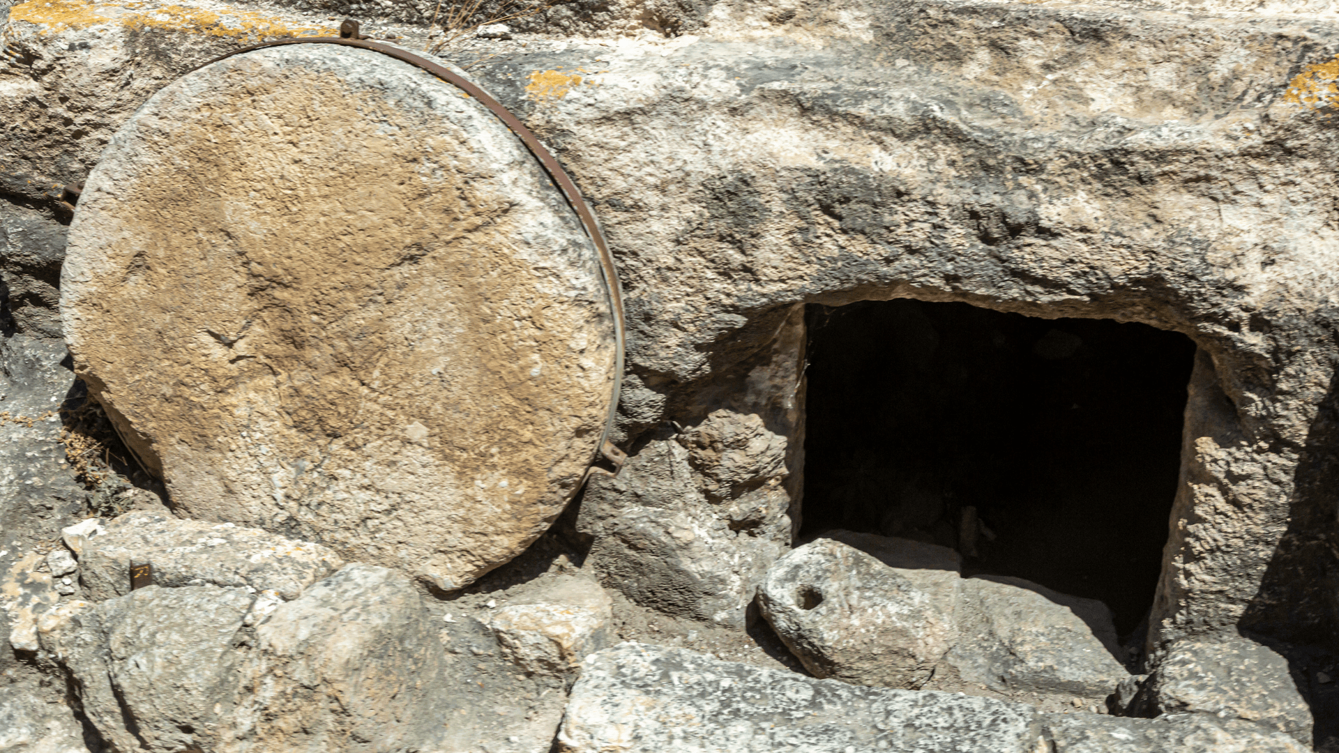 Sharing in Christ’s Resurrection