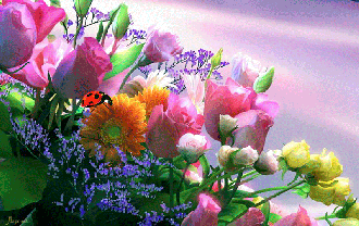&hearts;&hearts; Soyer &hearts;&hearts;