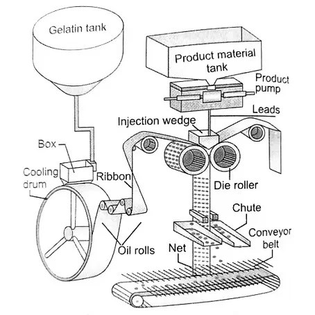 softgel-encapsulation-process
