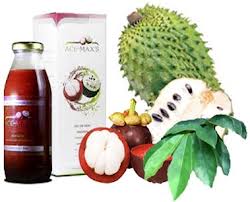 Obat Tradisional Penyakit Paru Paru Basah Alami Manfaat Dan