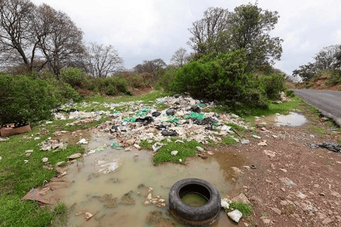 Vecinos denuncian tiradero clandestino en San Felipe del Progreso. Exigen castigo para quienes contaminan el bosque.