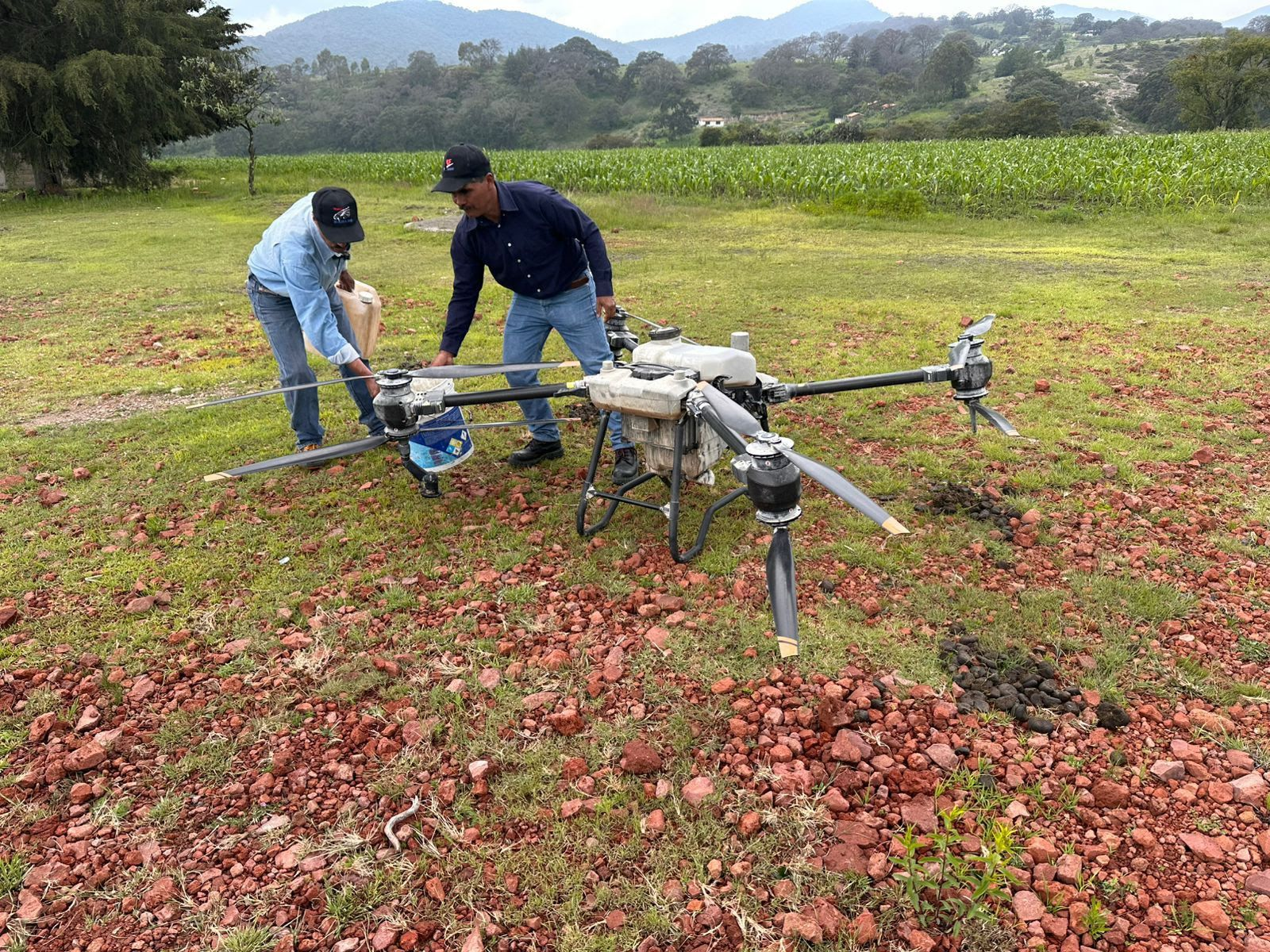 En Acambay, drones T40 protegieron más de 100 hectáreas de maíz contra el picudo gris, beneficiando a 24 productores del norte del Edomex.
