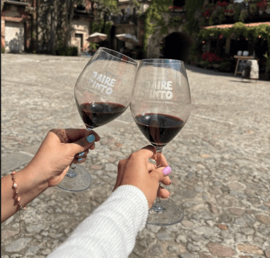 El festival Aire Tinto 2025 llega a Val'Quirico, Tlaxcala, el 18 y 19 de octubre. Disfruta de más de 50 bodegas de vino, gastronomía, música en vivo y diversas experiencias. ¡Una escapada enogourmet imperdible!