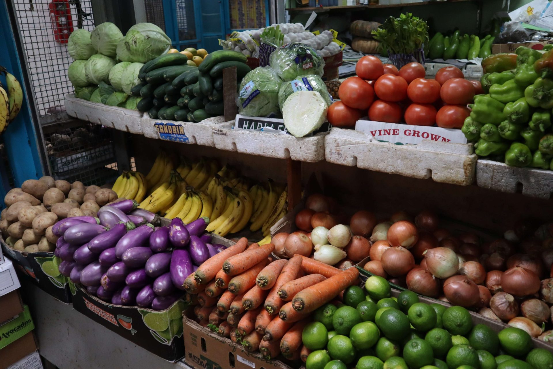 agricultura