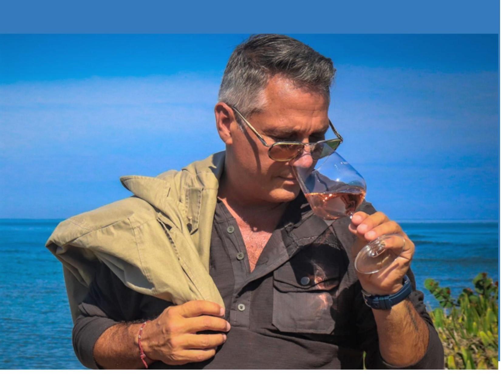 viñedos y bodegas