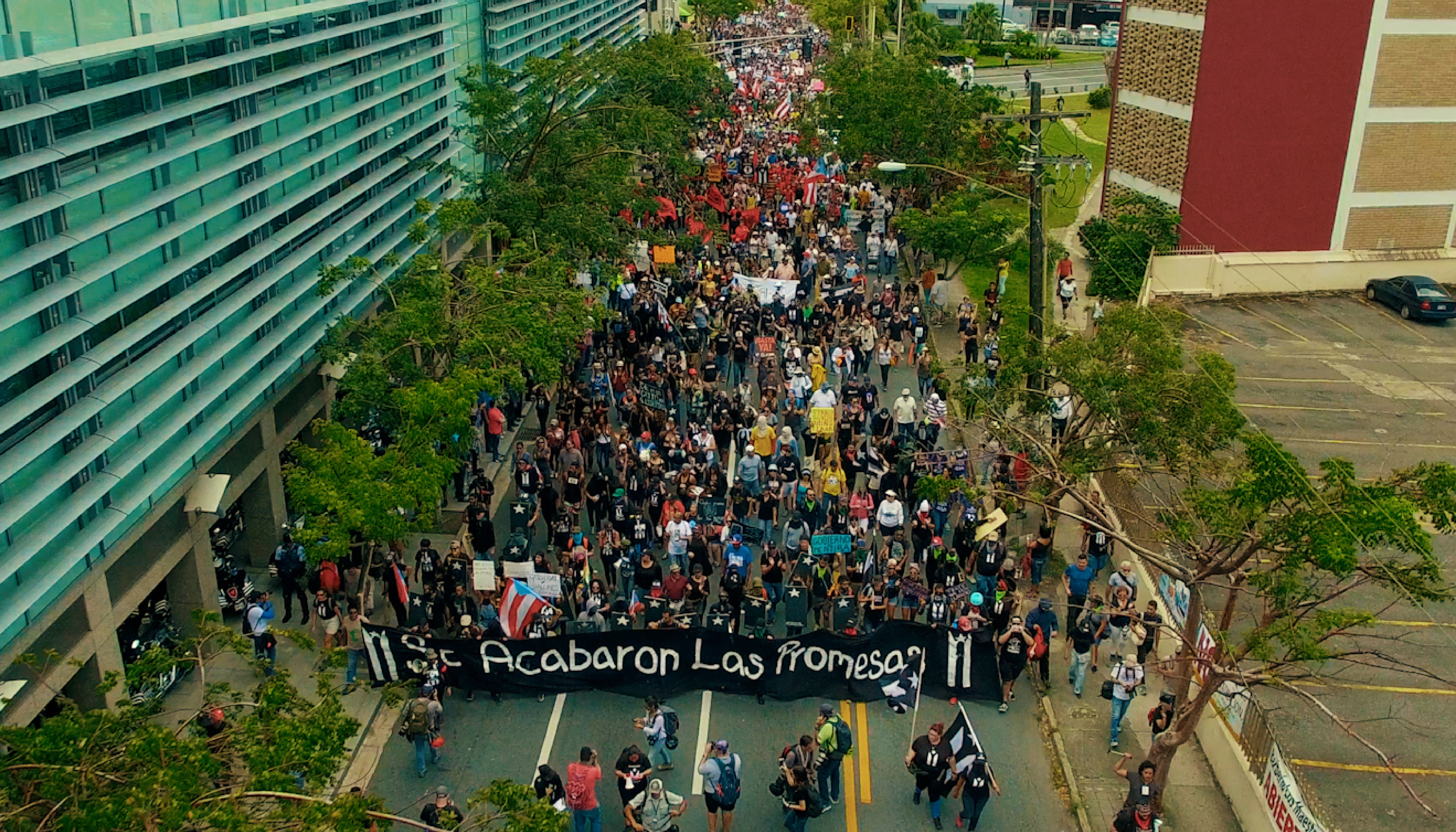 Simulacros de Liberación