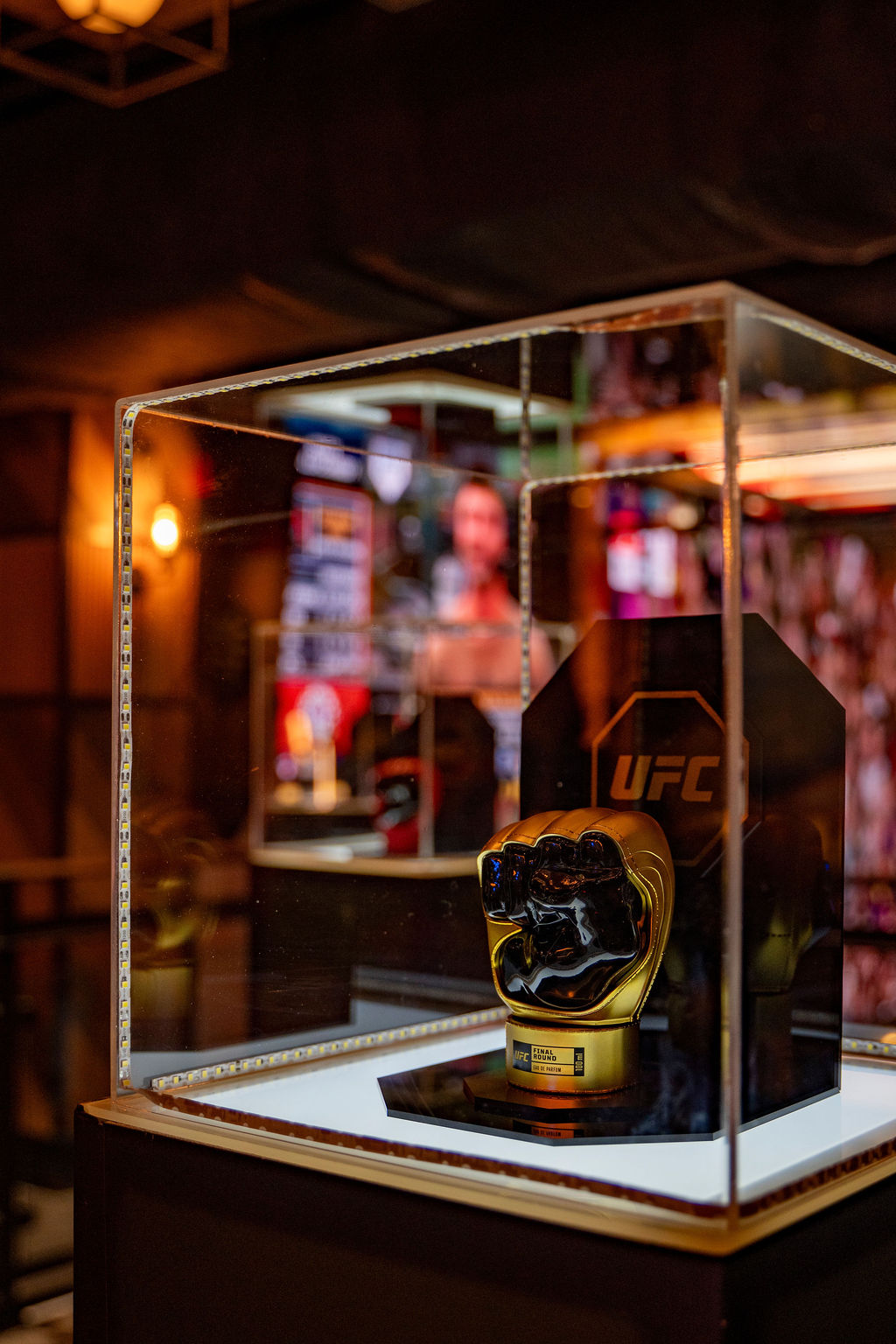 UFC Puerto Rico (2)