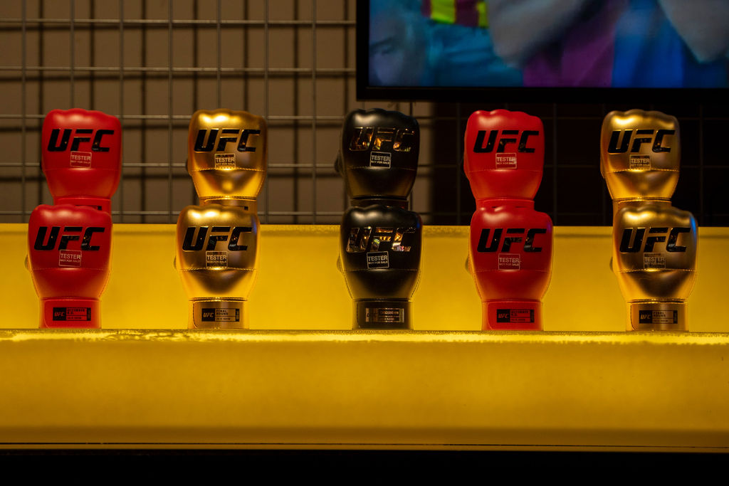 UFC Puerto Rico (3)