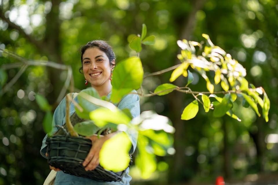 Durante el mes de octubre se repartieron más de 40 mil árboles con el fin de que sean sembrados para crear los bosques del futuro, y registrados en el mapa de La Siembra para visib