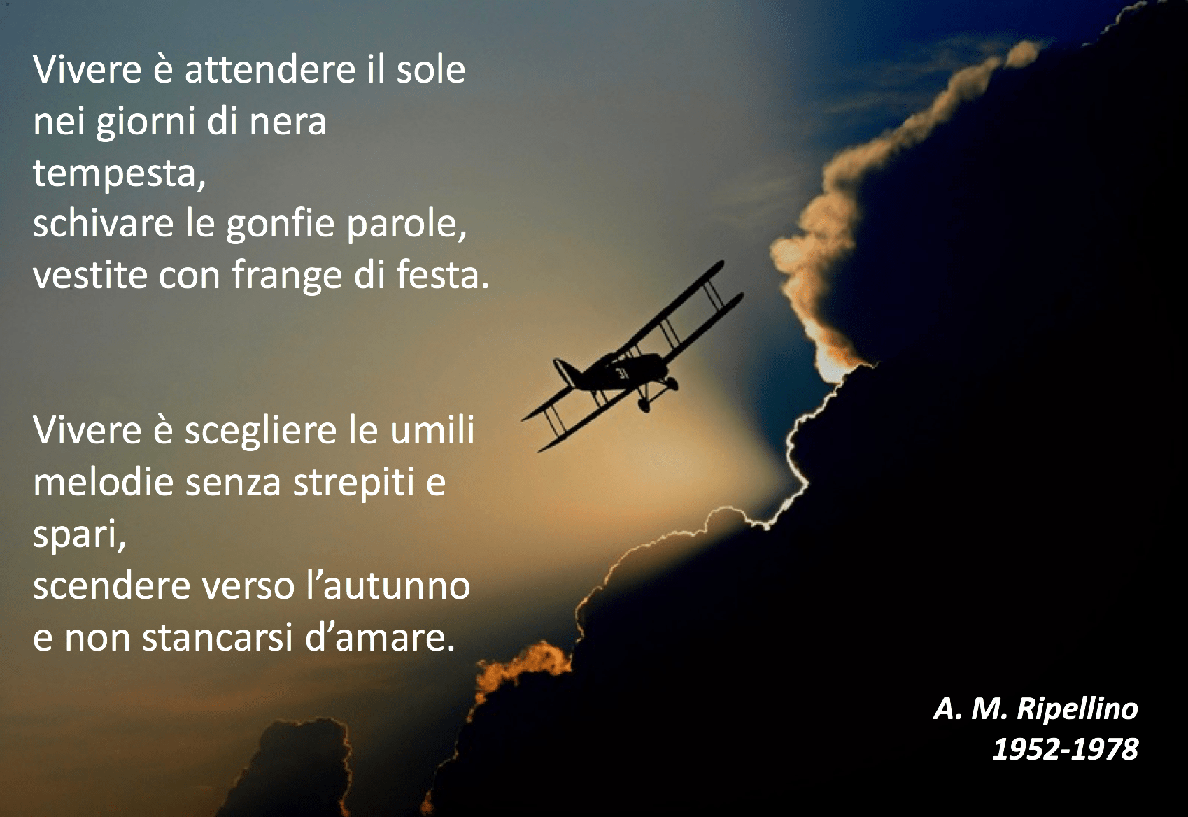 Ancora