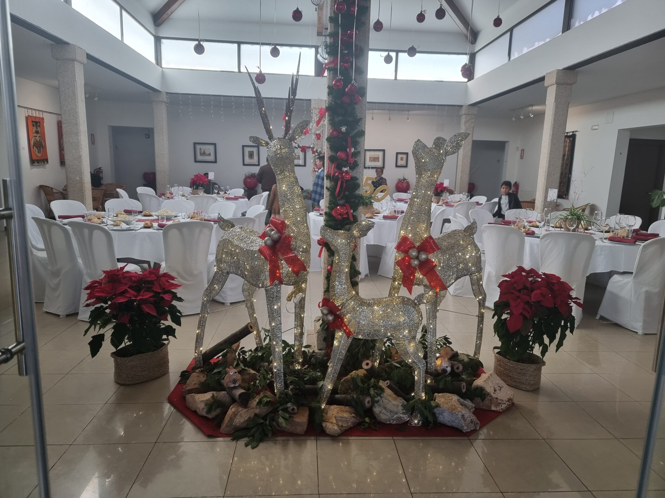 Patio1
