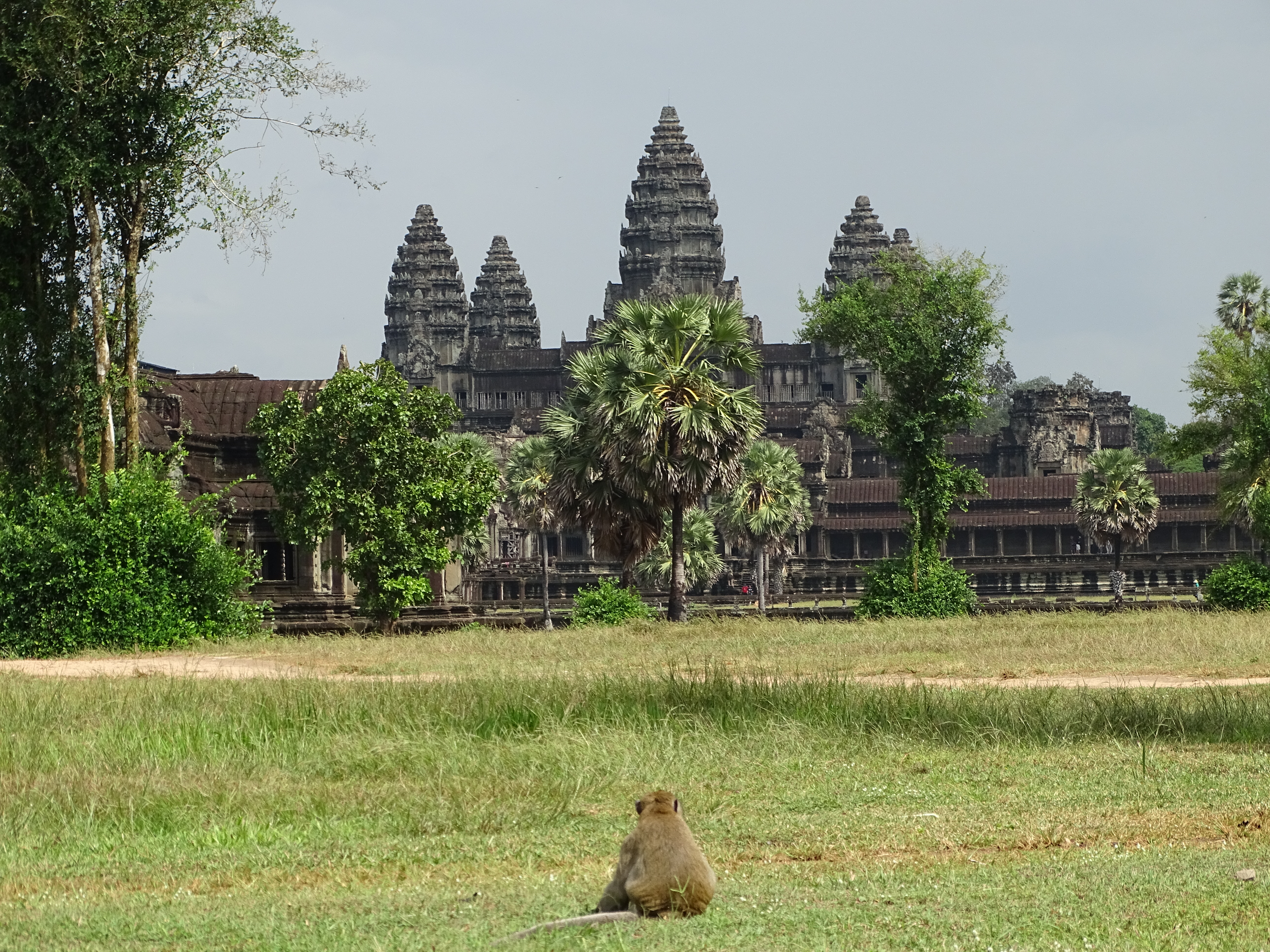 Angkor Vat