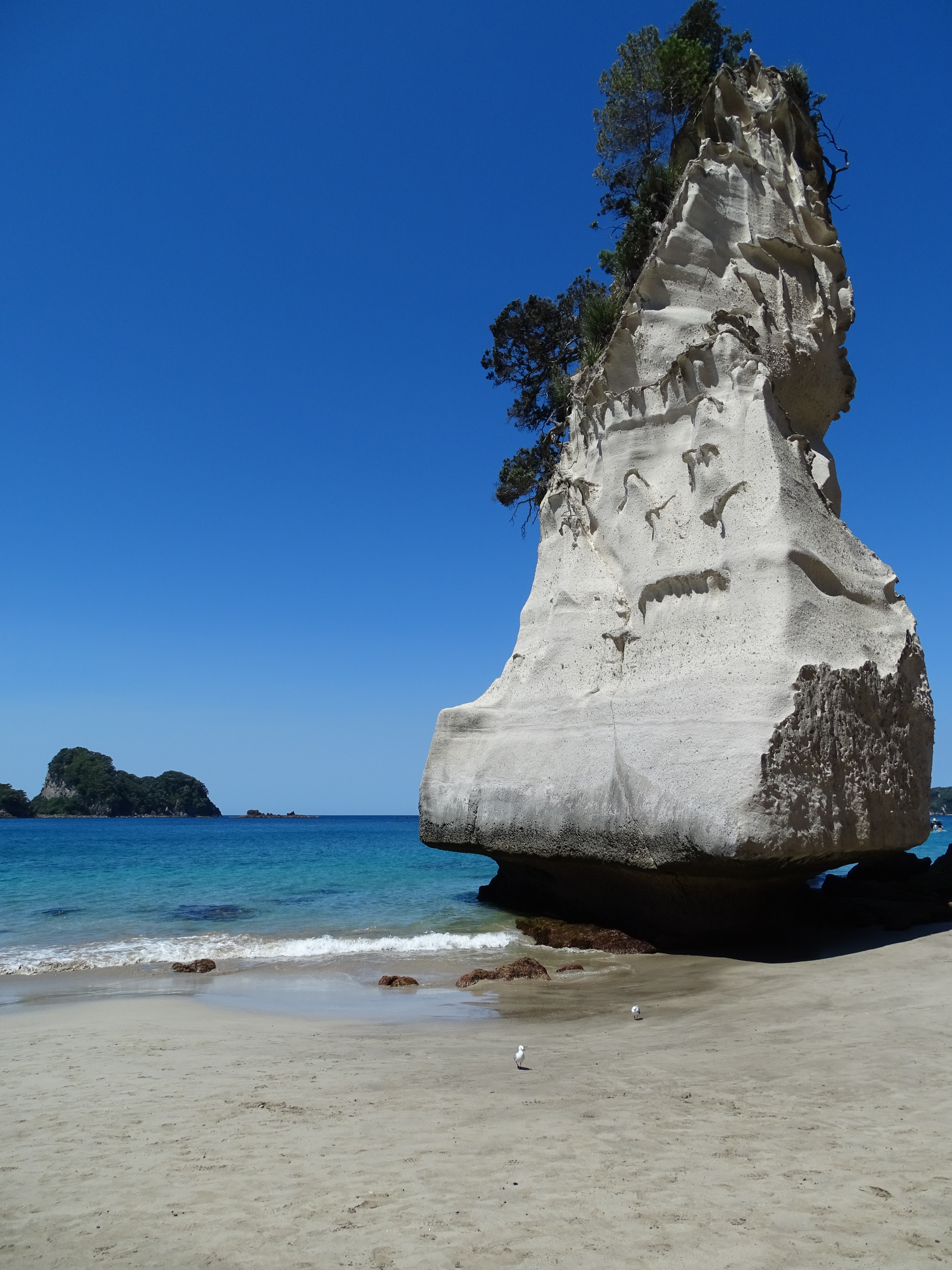 Cathedrale Cove